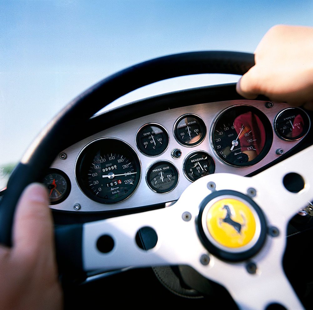 17 DINO FDOC CH 90 06 Ⓒ G. RAUPP